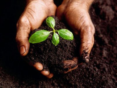goodsoil2-640x512