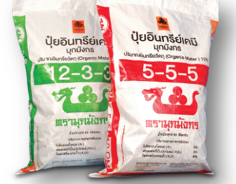 มุกมังกรa