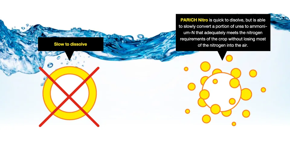 Comparison of conventional coating and the NBPT coating in PARICH Nitro
