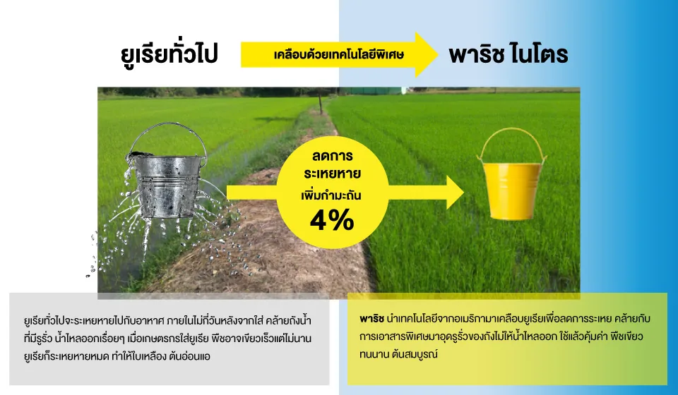 ภาพเปรียบเทียบยูเรียทั่วไปกับพาริช ไนโตรที่เคลือบด้วยเทคโนโลยีลดการระเหยและเพิ่มกำมะถัน 4%
