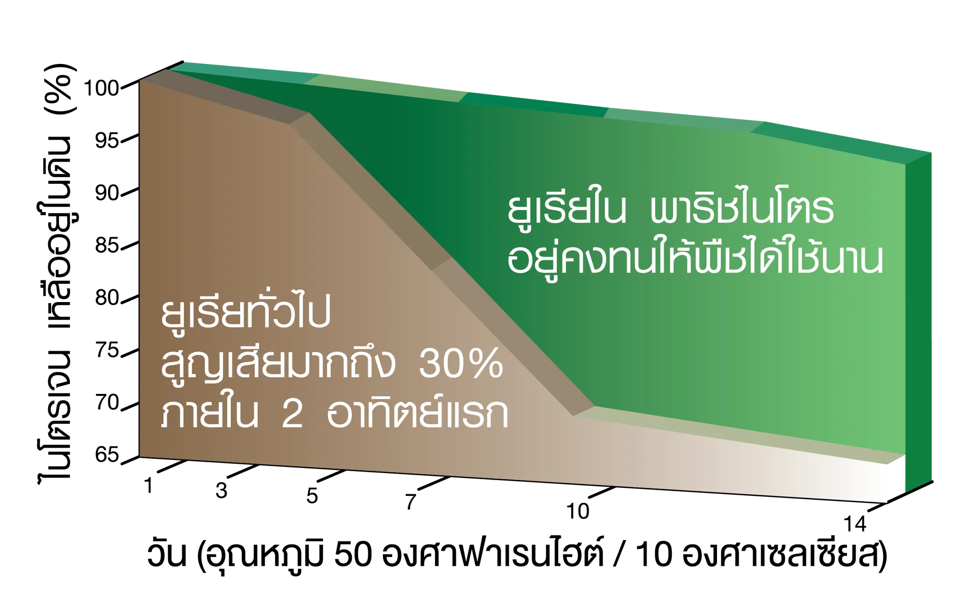 กราฟเปรียบเทียบไนโตรเจนที่เหลือในดินภายใน 14 วัน ระหว่างยูเรียทั่วไปกับยูเรียในพาริช ไนโตร